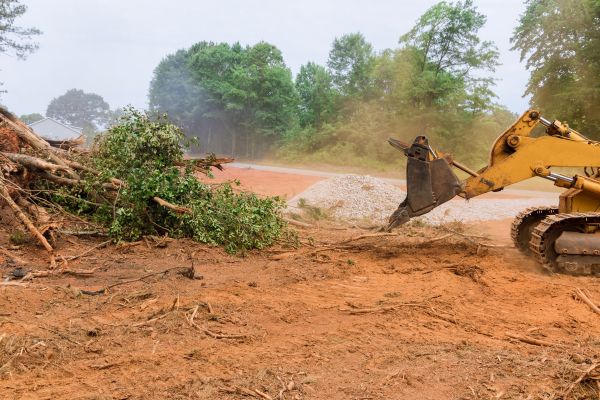 Cost of Ground Clearing in Tyler