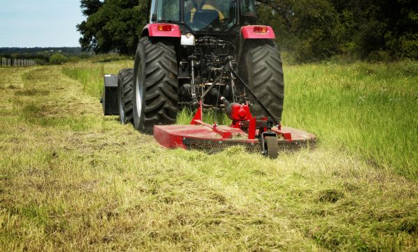 Cost of Brush Clearing Service in Tyler