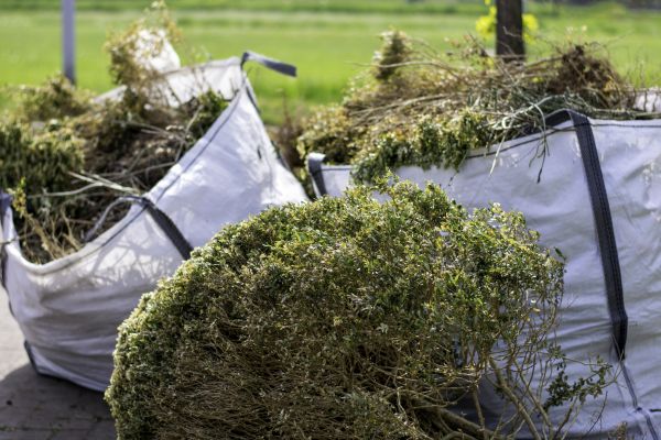 Cost of Bushes Clearing in Tyler