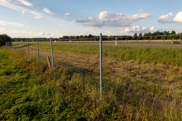 Cost of Property Line Clearing in Tyler