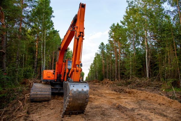 Cost of Backhoe Land Clearing in Tyler