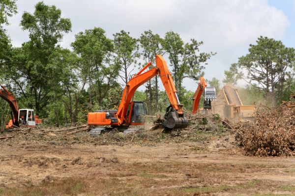 Cost of Commercial Lot Clearing in Tyler