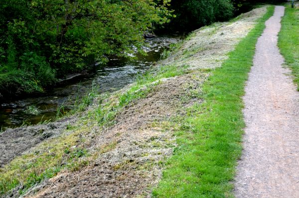 Cost of Trail Cutting in Tyler